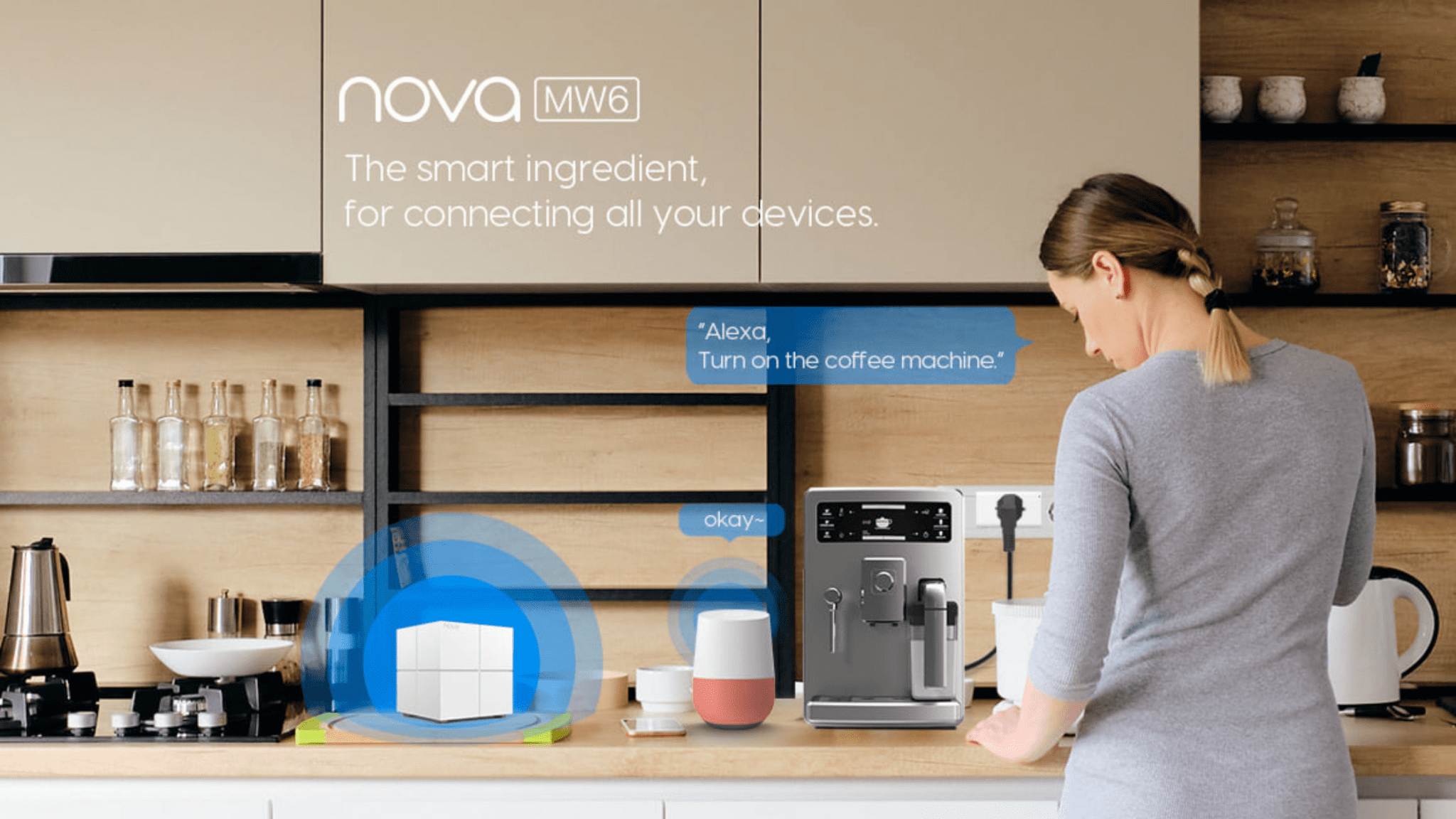 Nova Mesh WiFi System Local IT Guy
