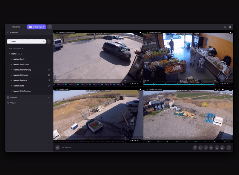 security-video-view